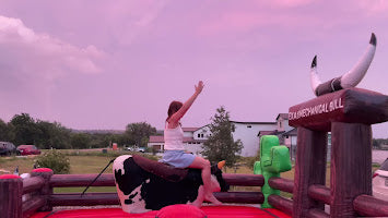 Mechanical Bull