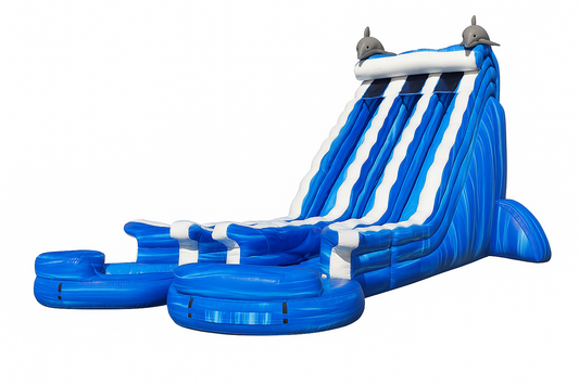 24ft Double Lane Ocean Water Slides